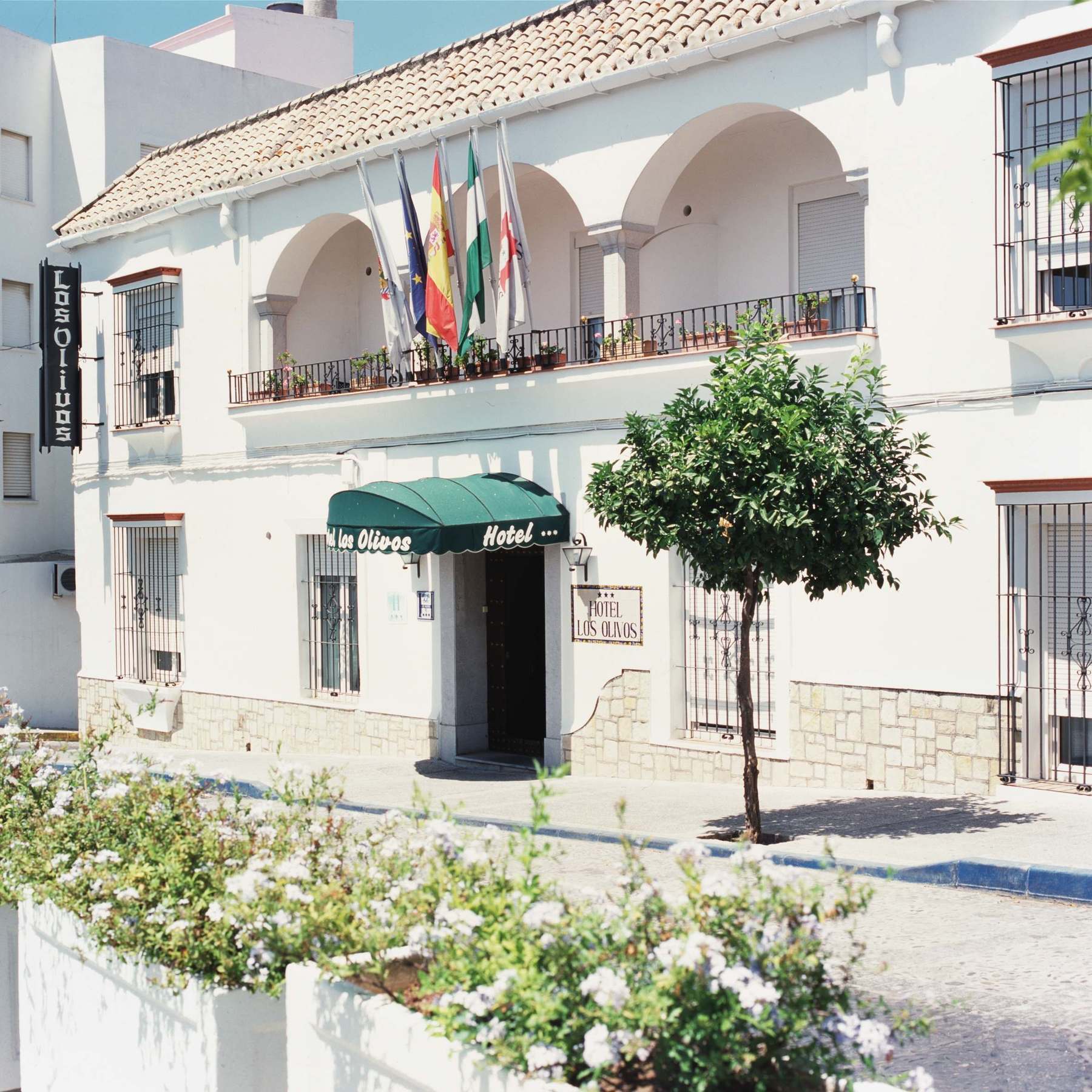 Hotel Los Olivos Arcos de la Frontera Extérieur photo